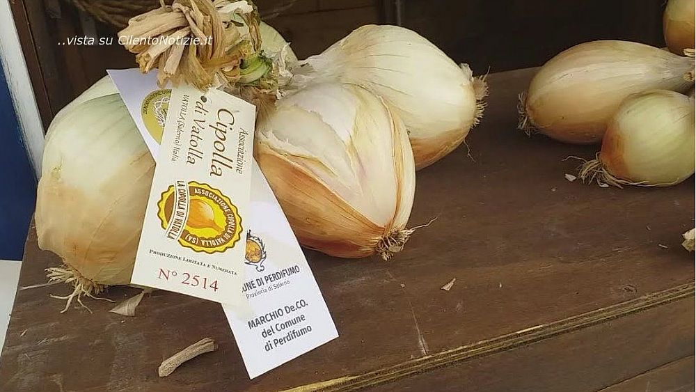 14072021 cipolla di vatolla