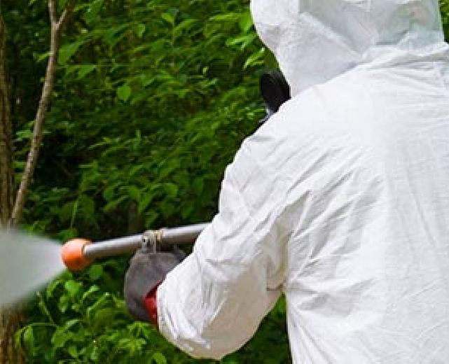 14082014 disinfestazione