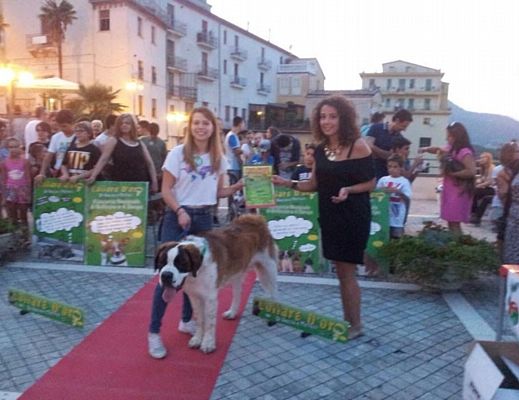 14082015 cagnolone capaccio