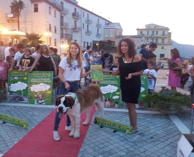 14082015 cagnolone capaccio