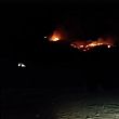 Cilento - Le ultime  Notizie foto - 14082016 incendio cilento ascea
