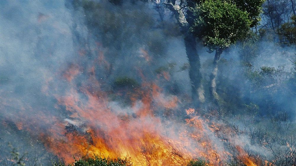 14082016 incendio 14082016 incendio