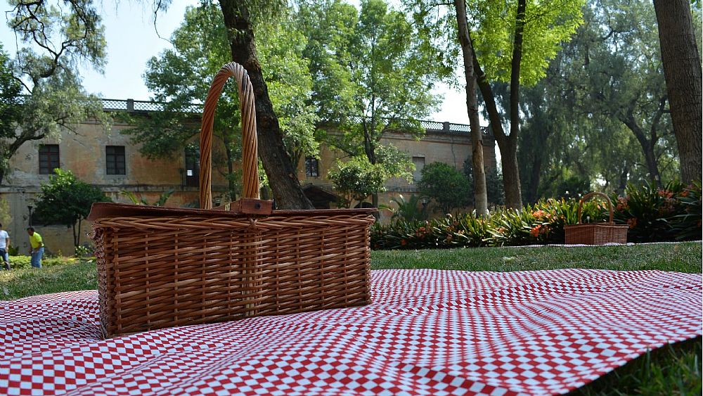 14082021 pic nic 2764148 1920 14082021 pic nic 2764148 1920