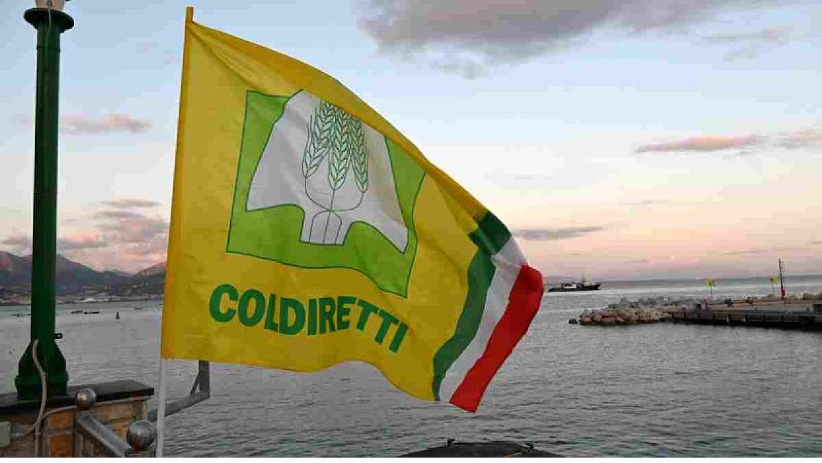 14092025 coldiretti bandiera 14092025 coldiretti bandiera