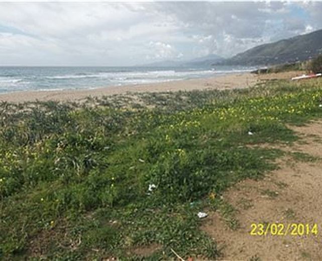 14102014 art abbate 01