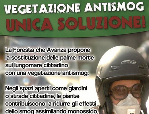 14112012 lfca a colori