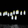 Attualita foto - 14112015 pinguini luci d artista