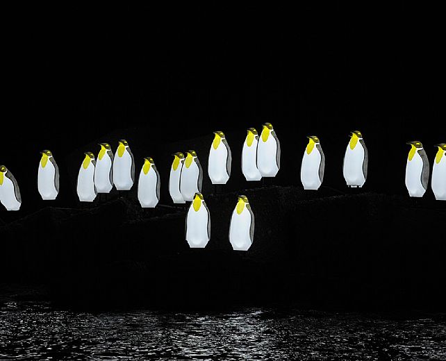 14112015 pinguini luci d artista