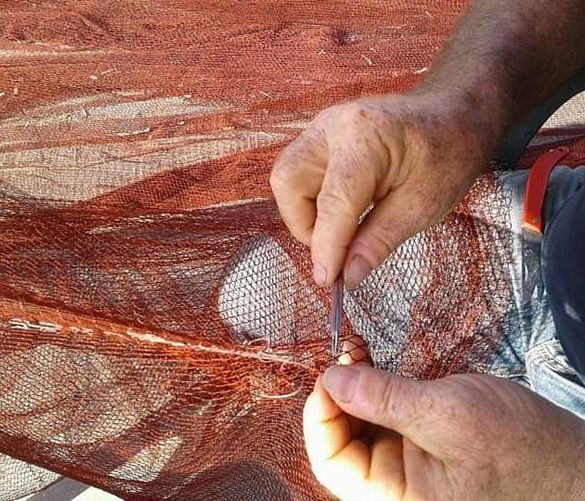14112018 pescatori di Agnone allopera