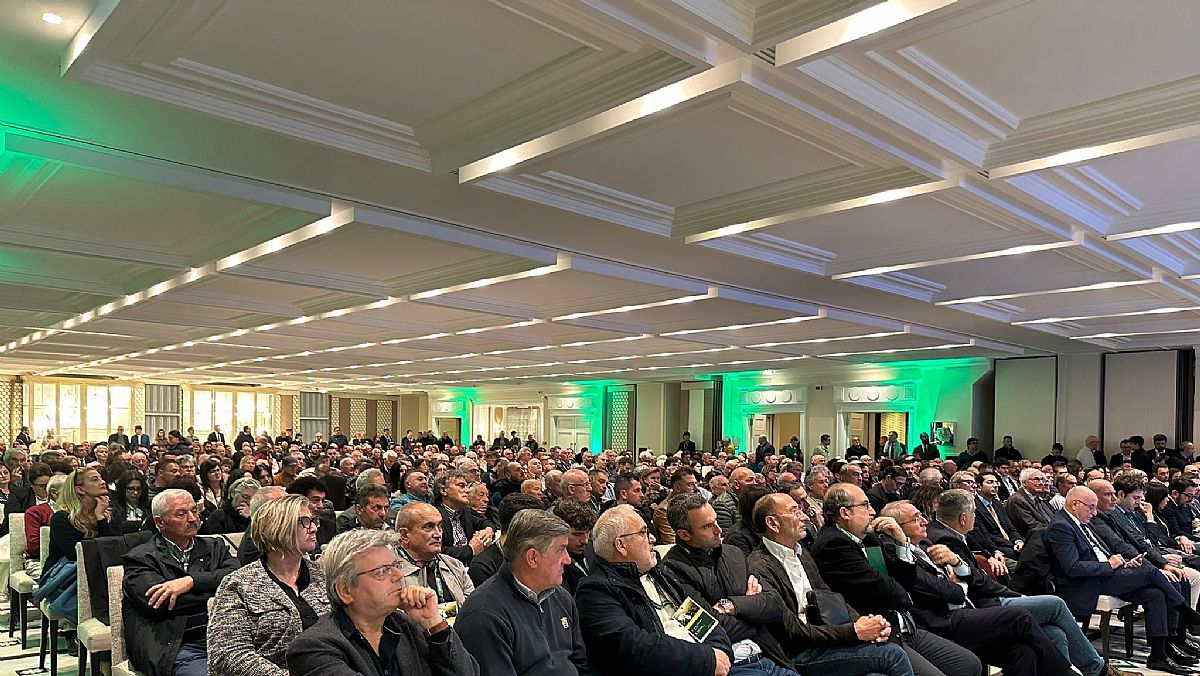 14112025 pubblico sala cirielli paestum