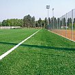 Comuni foto - 15012013 erba sintetica campo calcio small