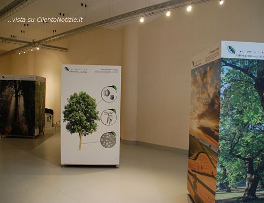 15012014 sala laboratori natura