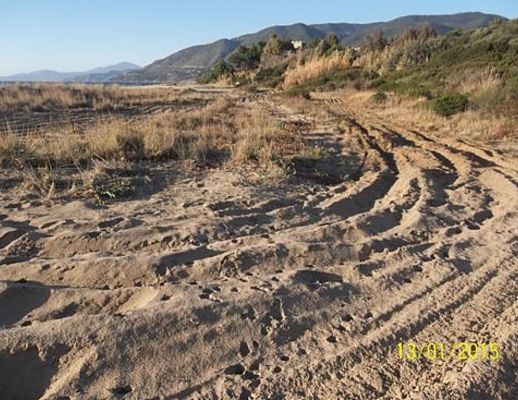 Paolo-Abbate foto - 15012015 dune costiere