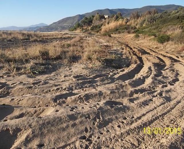 15012015 dune costiere 15012015 dune costiere