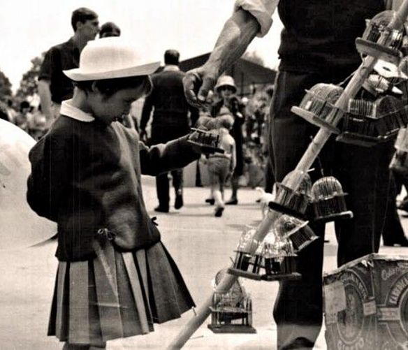 Paolo-Abbate foto - 15012018 Festa del grillo 604x403