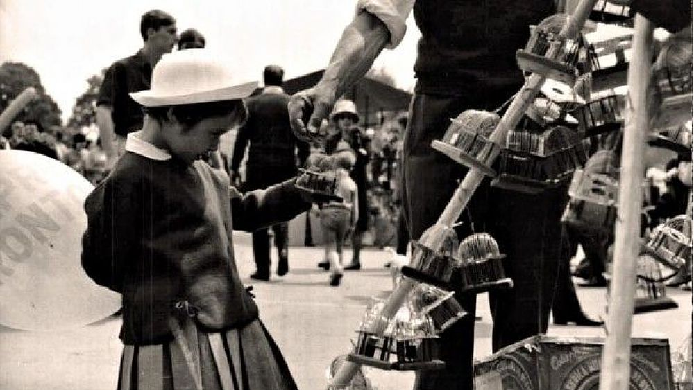 15012018 Festa del grillo 604x403 15012018 Festa del grillo 604x403