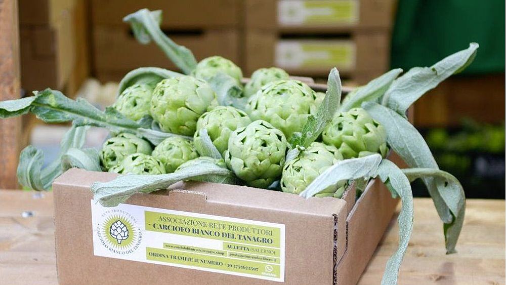 15012020 bianco tanagro