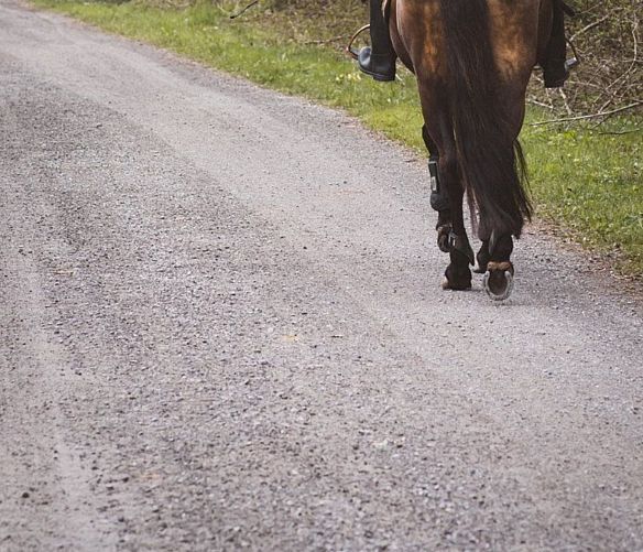 15022022 horseback riding 6281476 1920