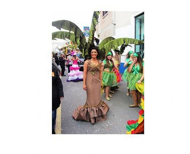 15032015 carnevale del cilento