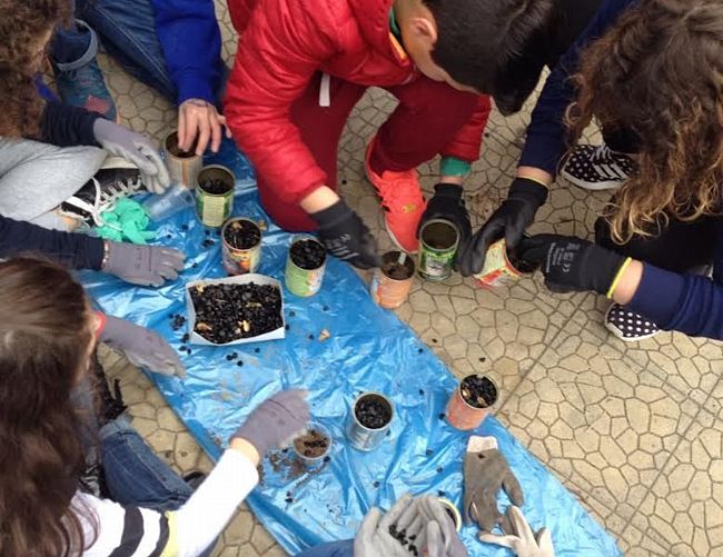 15032016 reintroduzione giglio