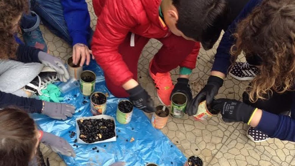 15032016 reintroduzione giglio