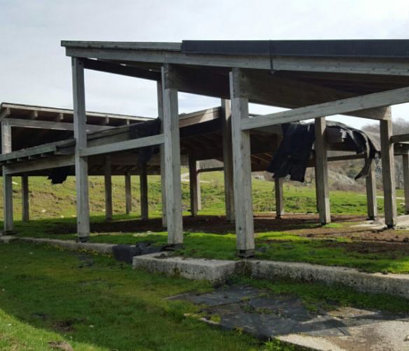 15032017 ecomostro di aresta