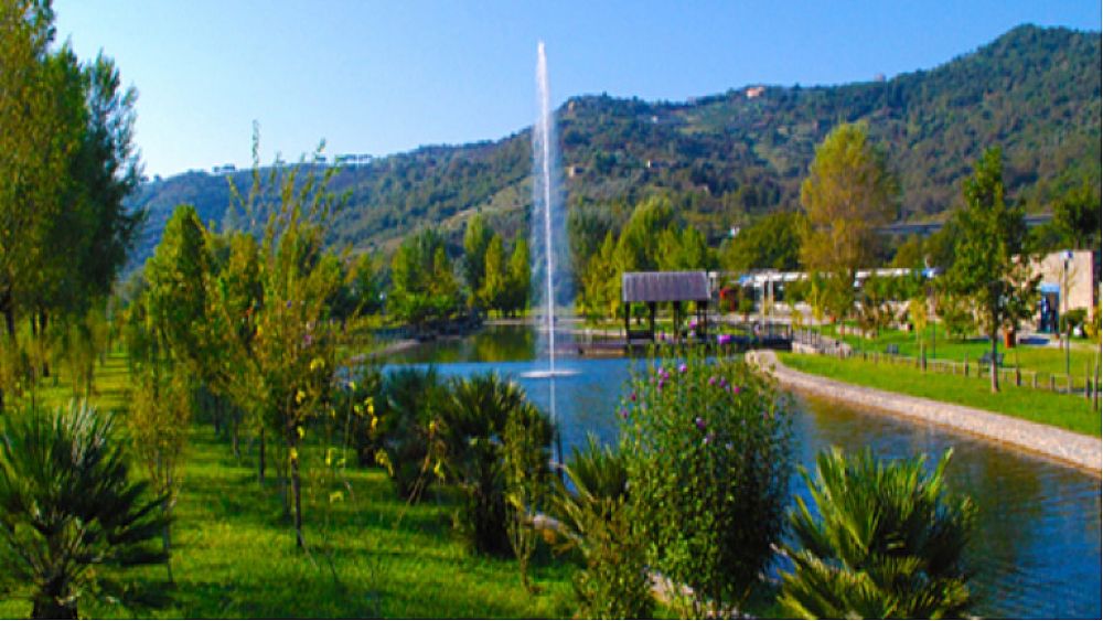 15032019 consorzio velia 15032019 consorzio velia