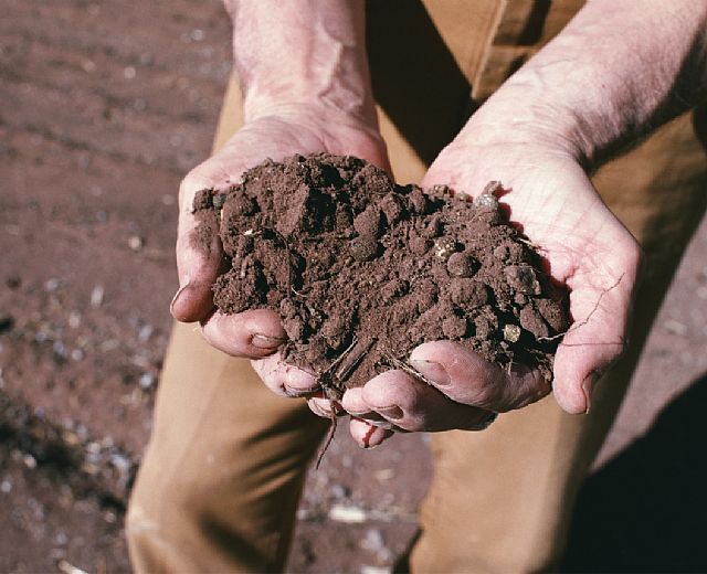 15042015 mani nella terra