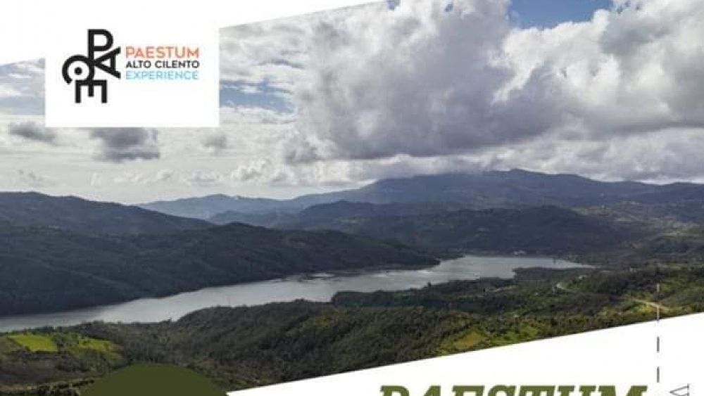 15042023 fb img 1681554817105 15042023 fb img 1681554817105