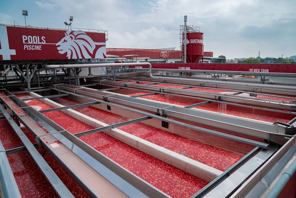 produzione mutti piscine pomodori