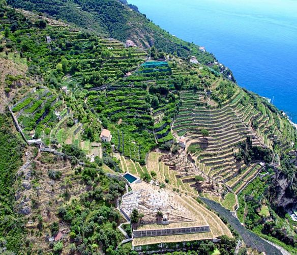 15052016 terrazzamenti limoneti