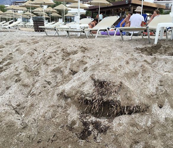 15052018 HERSONISSOS HERAKLION CRETE GREECE