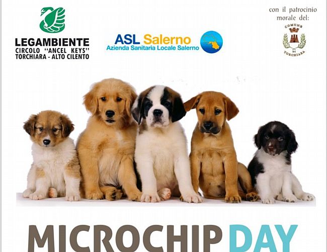 15052018 MICROCHIPDAY