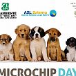 Avvisi foto - 15052018 MICROCHIPDAY