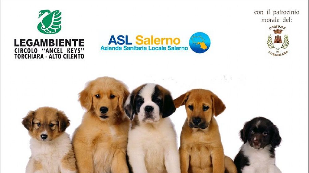 15052018 MICROCHIPDAY