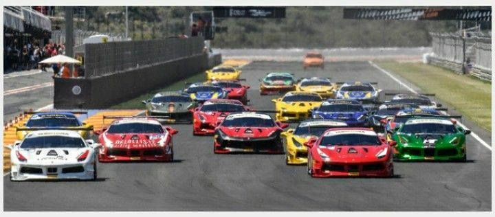 pro nicola materazzi