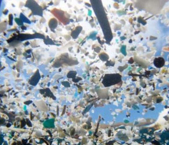 15052018 microplastiche