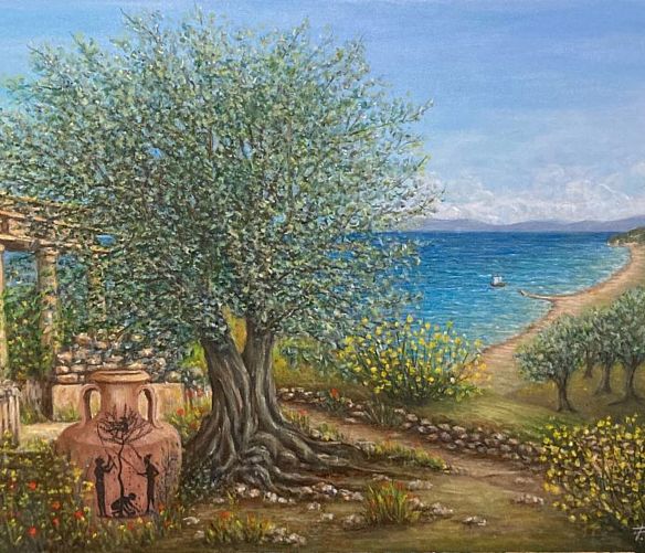 15052023 ulivo vertullo origine greca