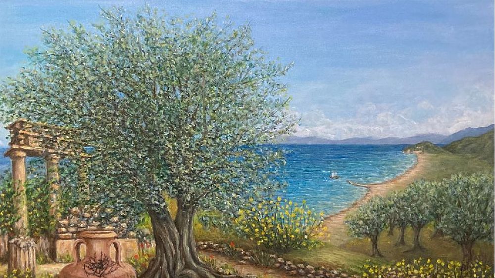 15052023 ulivo vertullo origine greca