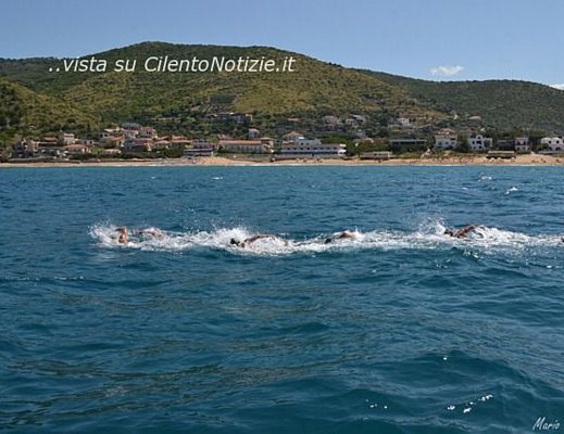 15062013 CAMPO GARA nuoto fondo castellabate