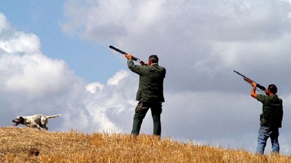 15062016 calendario caccia campania