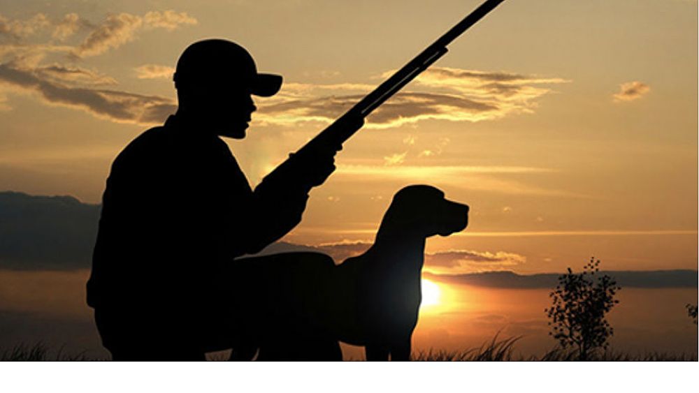 15062017 calendario venatorio