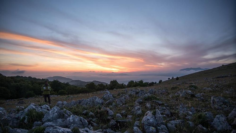 15062018 jazzi Cilento