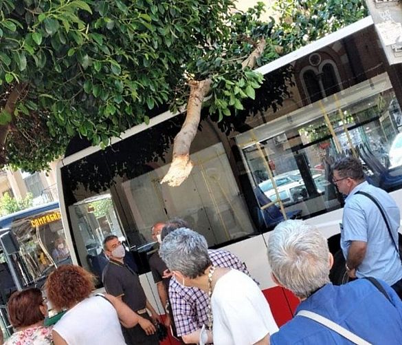 15062022 ramo caduto stazione