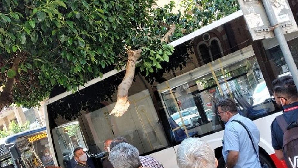 15062022 ramo caduto stazione 15062022 ramo caduto stazione