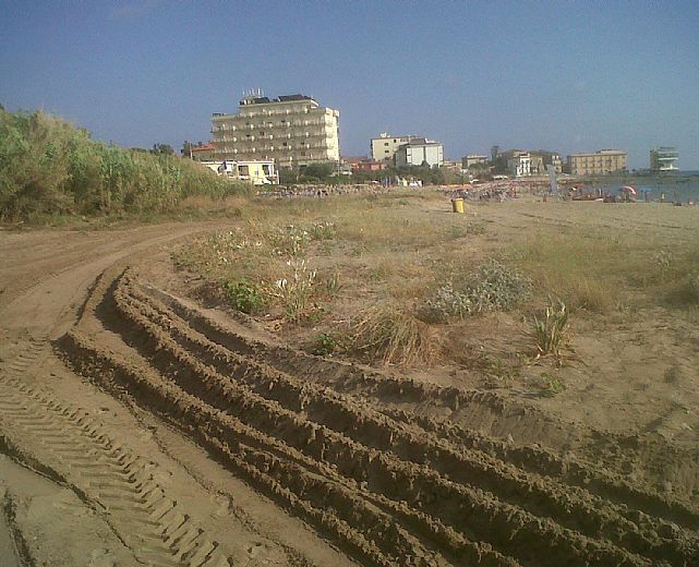 15072013 scempio giglio marino acciaroli 15072013 scempio giglio marino acciaroli