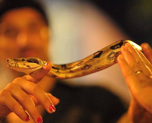 15072014 mojoca festival 2013