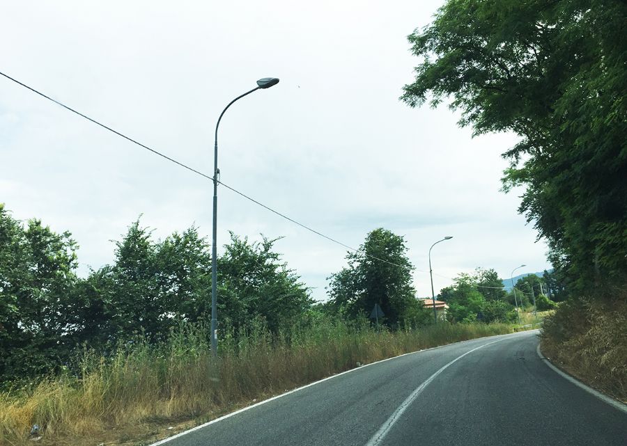 strada con erba alta