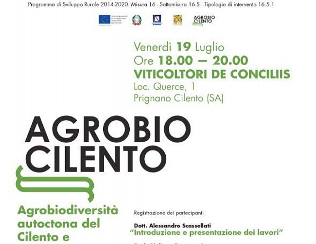 15072019 agrobiocilento