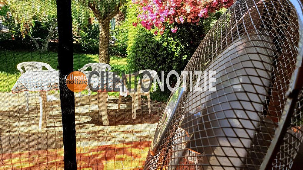 15072023 ventilatore caldo afa meteo temperature alte 15072023 ventilatore caldo afa meteo temperature alte